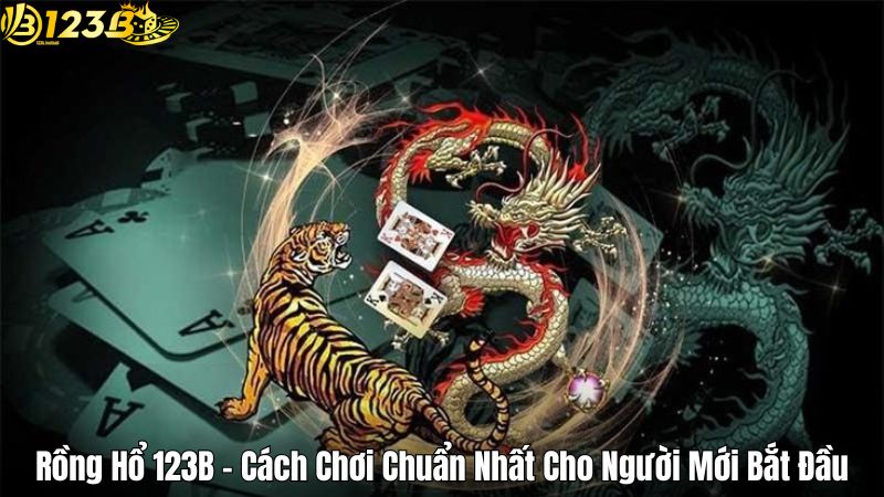 Rồng Hổ 123B - Cách Chơi Chuẩn Nhất Cho Người Mới Bắt Đầu Rồng Hổ 123B - Cách Chơi Chuẩn Nhất Cho Người Mới Bắt Đầu